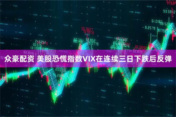 众豪配资 美股恐慌指数VIX在连续三日下跌后反弹
